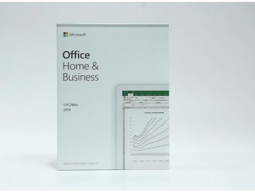 Het Huis en Zaken 2019 van DVD Usb Microsoft Office met Fpp-Sleutel