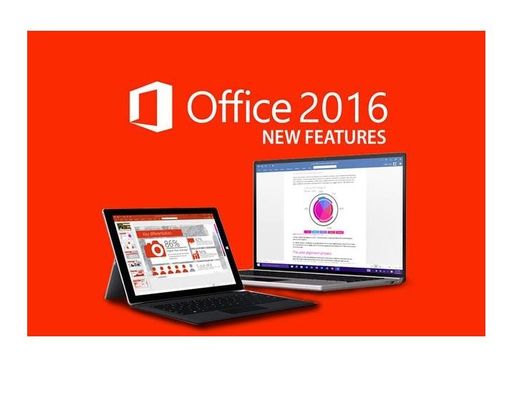 DVD-Doos PKC Office 2021 Pro plus plus Productcode Online Activering