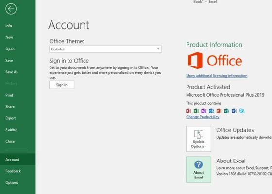Het binden PKC Microsoft Office 2019 Productcodefpp Bureau Pro plus de Sleutel van 2019