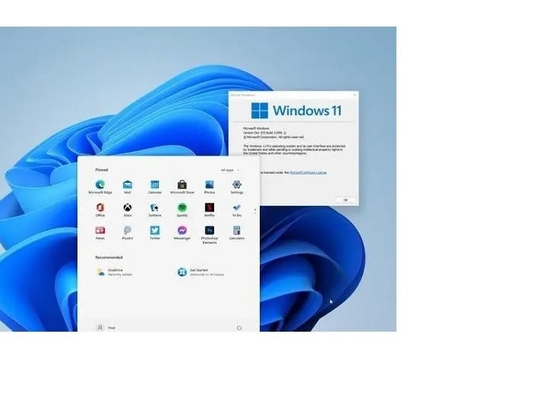 Microsoft Windows 11 Activeringssleutel met Hologramwinst 11 Coa-Sticker